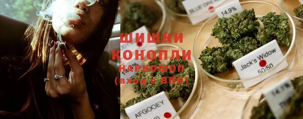 сатива Волоколамск