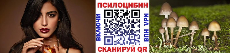 Галлюциногенные грибы прущие грибы  Купить где  Нижний Новгород 