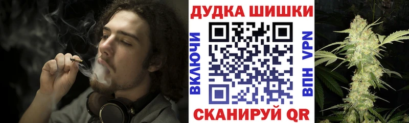 Каннабис план Купить где Нижний Новгород